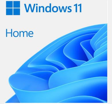 Microsoft Windows 11 Home x64 English FPP