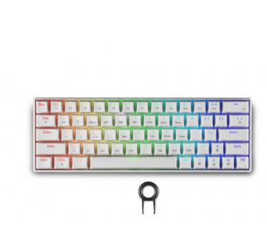 Spartan Gear Pegasus 2 RGB