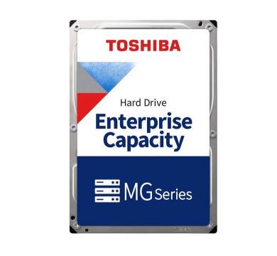 Toshiba MG Enterprise 22TB
