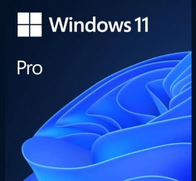 Microsoft Windows 11 Pro x64 English OEM