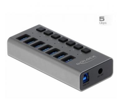 Delock External SuperSpeed USB Hub with 7 Ports + Switch