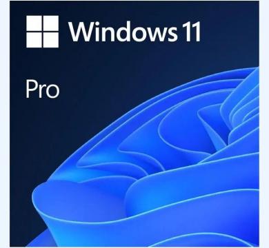 Microsoft Windows 11 Pro FPP Retail