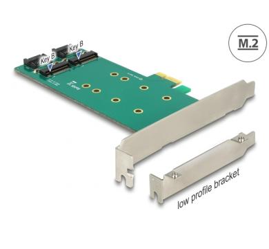 Delock PCI Express x1 Card > 2 x internal M.2 Key B 110 mm - Low Profile