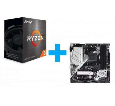 AMD Ryzen 5 5600 + ASRock B550M Pro4