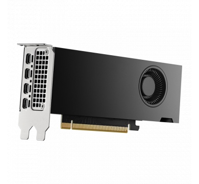 PNY NVIDIA RTX 2000 Ada Generation 16GB